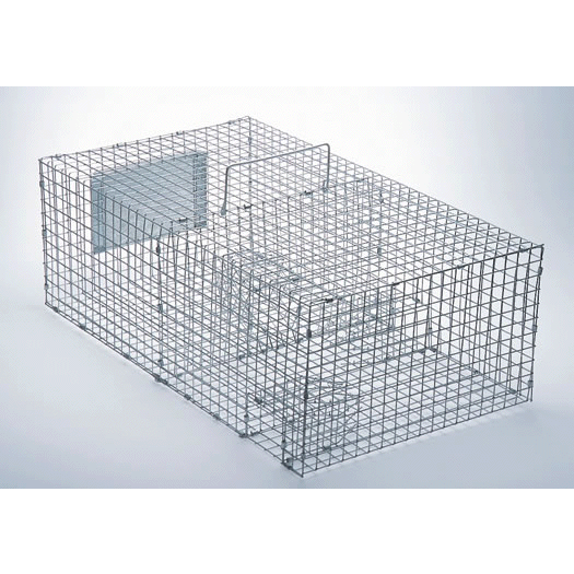 Sparrow Cage Trap